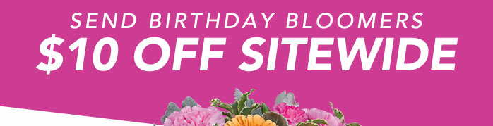 SEND BIRTHDAY BLOOMERS