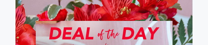 ORDER NOW FOR<br>VALENTINE'S DAY