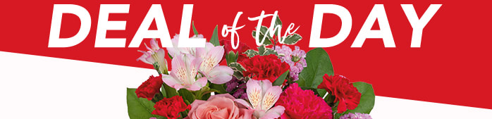 VALENTINE’S DEAL OF THE DAY