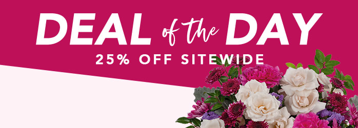 STEAL THE DEAL FOR MOM