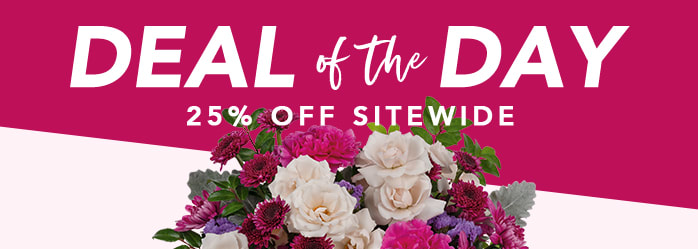 STEAL THE DEAL FOR MOM