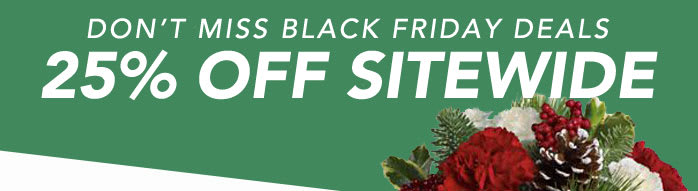 DON’T MISS BLACK FRIDAY DEALS