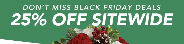 DON’T MISS BLACK FRIDAY DEALS