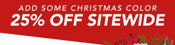 ADD SOME CHRISTMAS COLOR