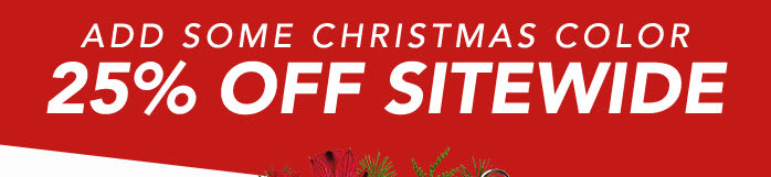 ADD SOME CHRISTMAS COLOR