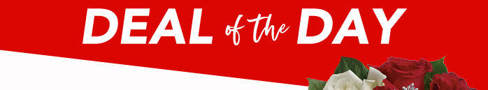CHRISTMAS<br>DEAL OF THE DAY