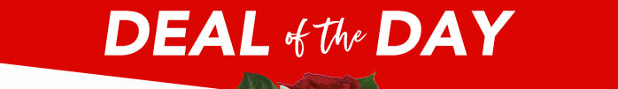 CHRISTMAS<br>DEAL OF THE DAY
