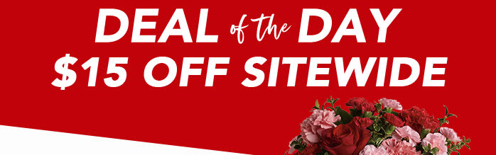 DEAL OF THE DAY