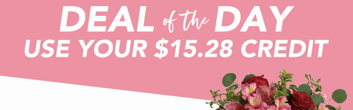 VALENTINE’S<br>DEAL OF THE DAY