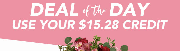 VALENTINE’S<br>DEAL OF THE DAY