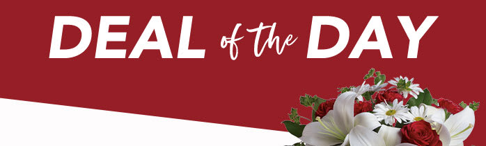 ENJOY 20% OFF<br>V-DAY FLOWERS