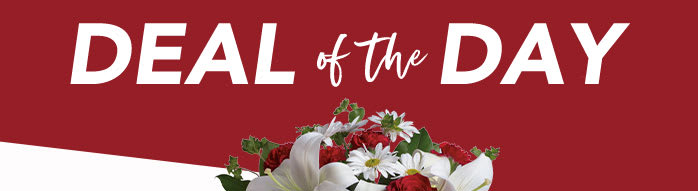 ENJOY 20% OFF<br>V-DAY FLOWERS