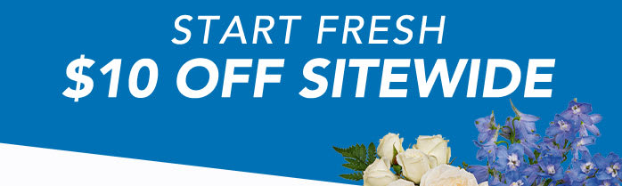 START FRESH