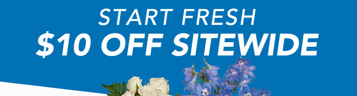 START FRESH