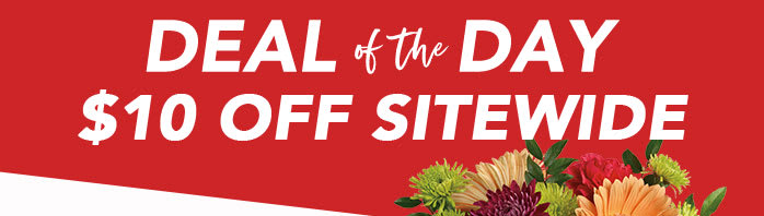 DEAL OF THE DAY