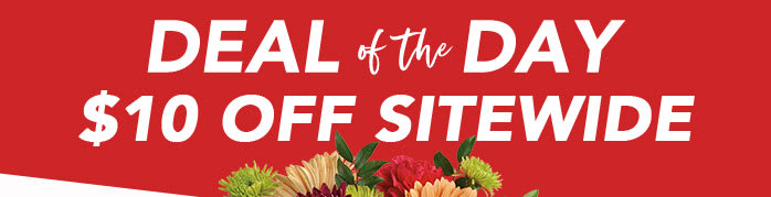 DEAL OF THE DAY