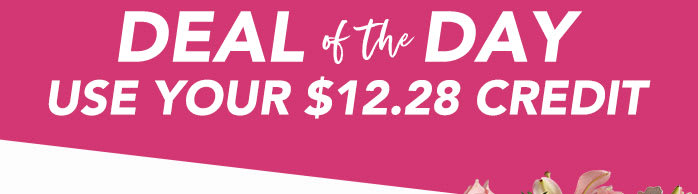 VALENTINE’S<br>DEAL OF THE DAY 