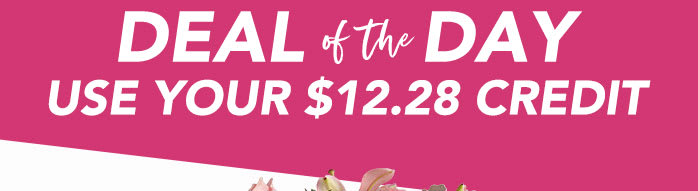 VALENTINE’S<br>DEAL OF THE DAY 