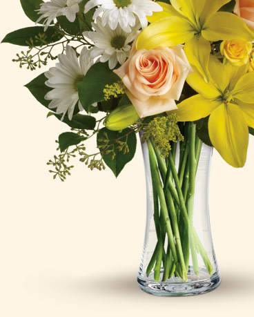 Teleflora's Daisies and Sunbeams