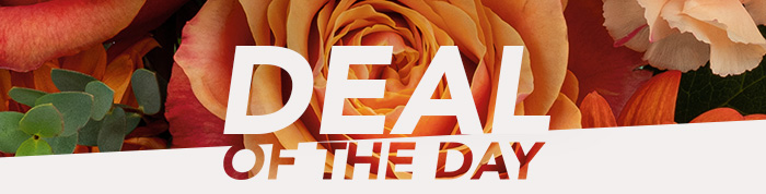 DEAL OF THE DAY