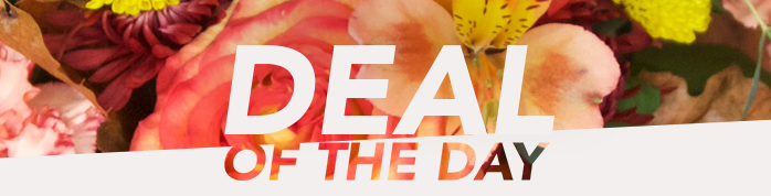 DEAL OF THE DAY