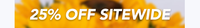 SAY HELLO TO SUMMER<br>WITH 25% OFF