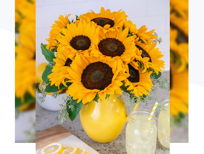 Teleflora's Sunny Day Pitcher of Sunflowers