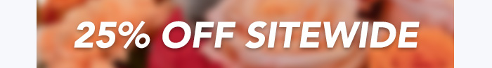 — 25% OFF SITEWIDE —
