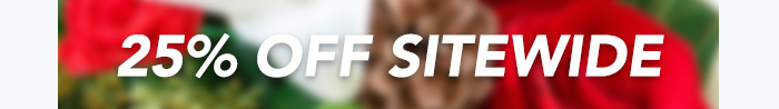 — 25% OFF SITEWIDE —