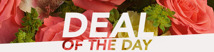 Send a One-of-a-Flower Arrangement