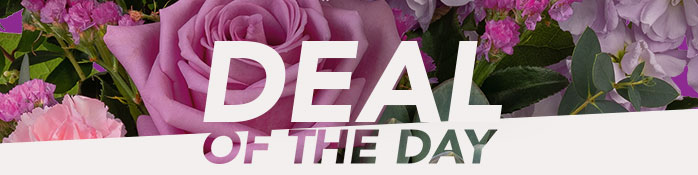 Deal of the Day