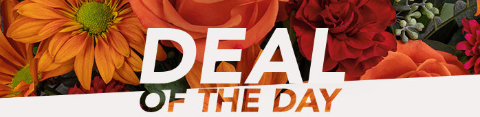 Deal of the (Turkey) Day