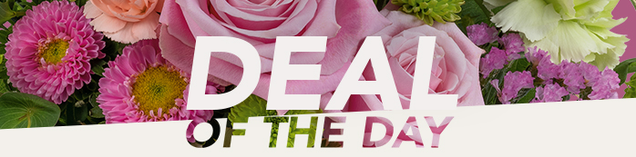 SEND A DEAL OF THE DAY