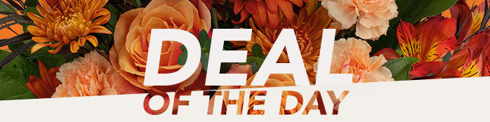 GET A DEAL OF THE DAY