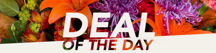 ENJOY TURKEY DAY DEALS