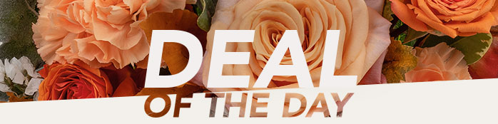 DEAL OF THE DAY