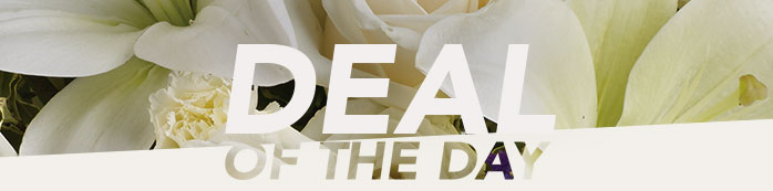 DEAL OF THE DAY