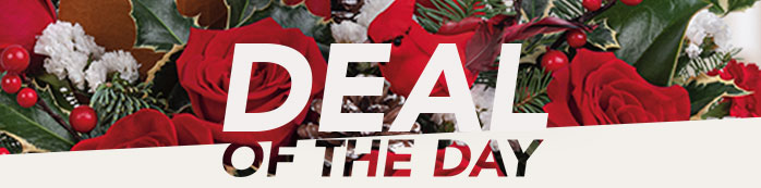 HOLIDAY DEAL OF THE DAY
