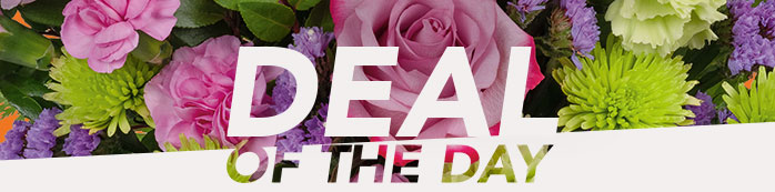 DEAL OF THE DAY 