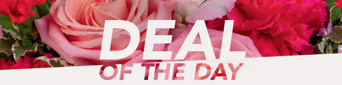 DEAL OF THE DAY 