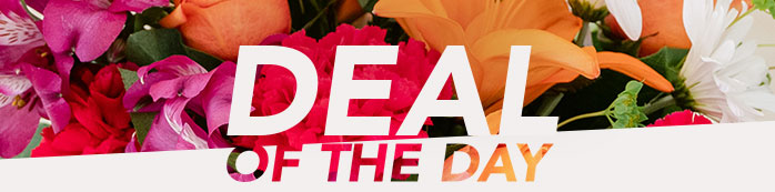 DEAL OF THE DAY 