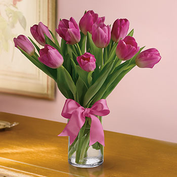 MAKE WINTER BLOOM