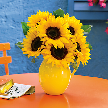 PET-FRIENDLY PLANTS <BR/>AND FLOWERS