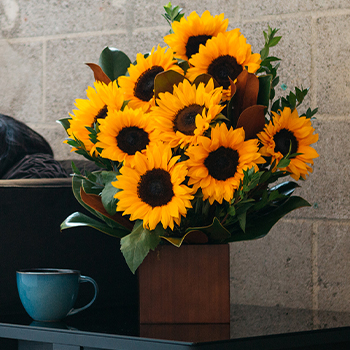 SHOP STUNNING<br>SUNFLOWERS