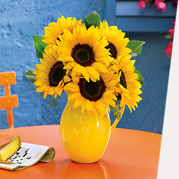PET-FRIENDLY PLANTS <BR/>AND FLOWERS