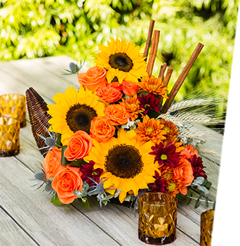 SHOP STUNNING SUNFLOWERS