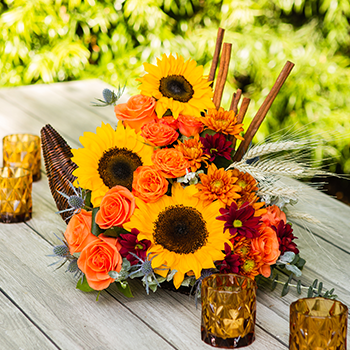 SHOP STUNNING SUNFLOWERS
