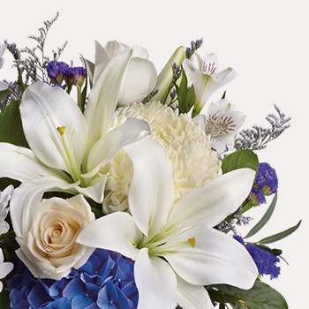 MEMORIAL DAY FLOWERS