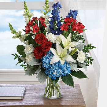 VETERAN'S DAY IS<br><span style='font-size:32px'>ON NOVEMBER 11</span>