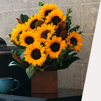 SHOP STUNNING<br>SUNFLOWERS